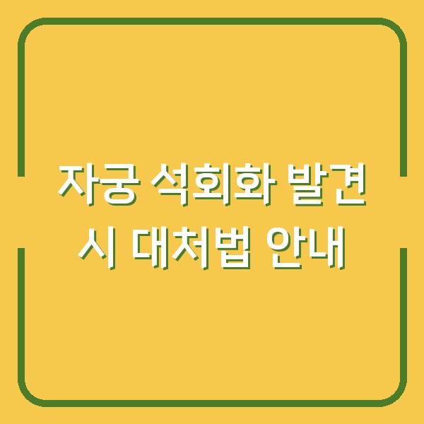 자궁 석회화 발견 시 대처법 안내