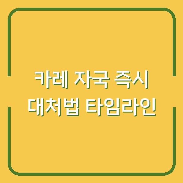 카레 자국 즉시 대처법 타임라인