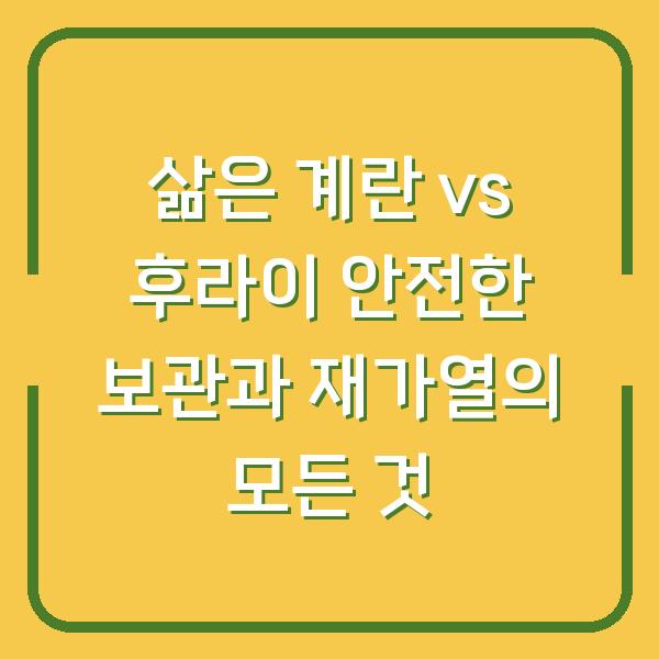 삶은 계란 vs 후라이 안전한 보관과 재가열의 모든 것
