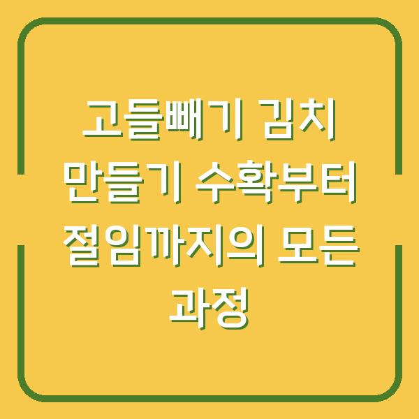 고들빼기 김치 만들기 수확부터 절임까지의 모든 과정