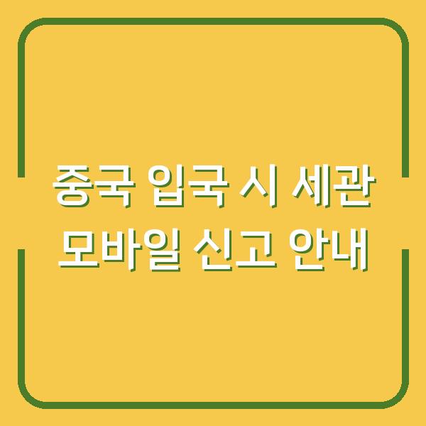 중국 입국 시 세관 모바일 신고 안내