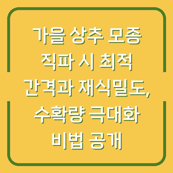 가을 상추 모종 직파 시 최적 간격과 재식밀도, 수확량 극대화 비법 공개