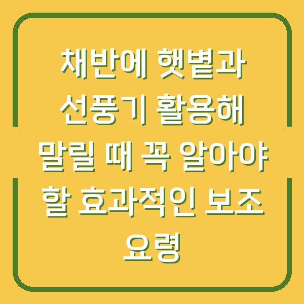 채반에 햇볕과 선풍기 활용해 말릴 때 꼭 알아야 할 효과적인 보조 요령