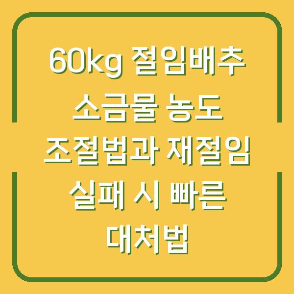 60kg 절임배추 소금물 농도 조절법과 재절임 실패 시 빠른 대처법
