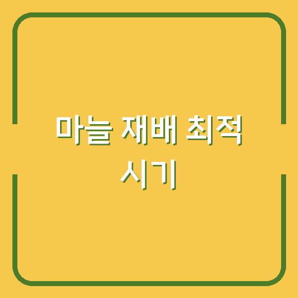 한지형·난지형 마늘 심는 최적 시기와 재배법으로 수확량 극대화하는 법