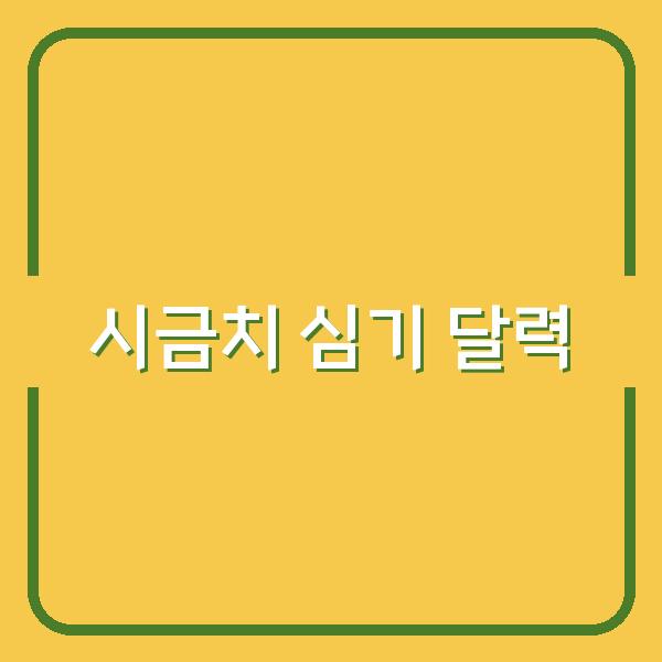 시금치 심기 최적 시기별 달력으로 봄부터 월동까지 수확량 극대화하는 법