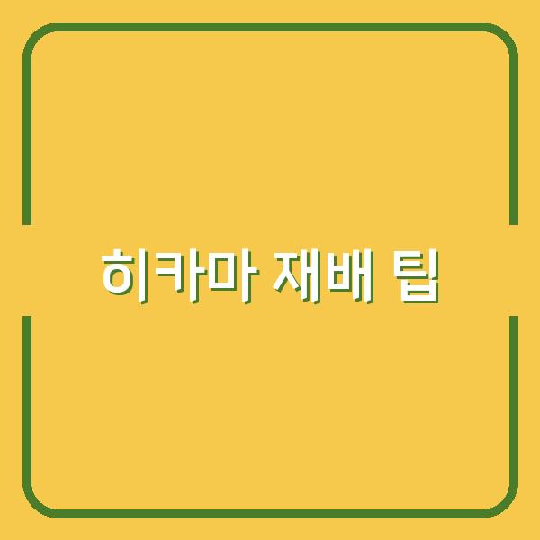 히카마 재배의 모든 것 최적의 심기 시기와 수확 후 보관 팁