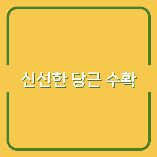 올가을, 신선한 당근 수확을 위한 최적의 심기 시기와 효과적인 재배 비법