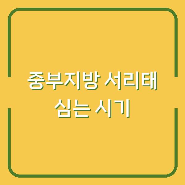 중부지방 서리태, 심는 시기만 바꿔도 수확량이 달라집니다