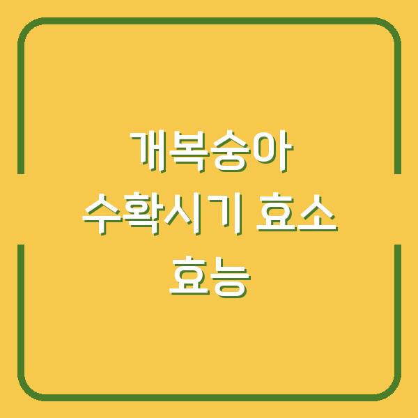 개복숭아 수확시기 놓치면 1년을 기다려야 하는 효소 효능의 비밀