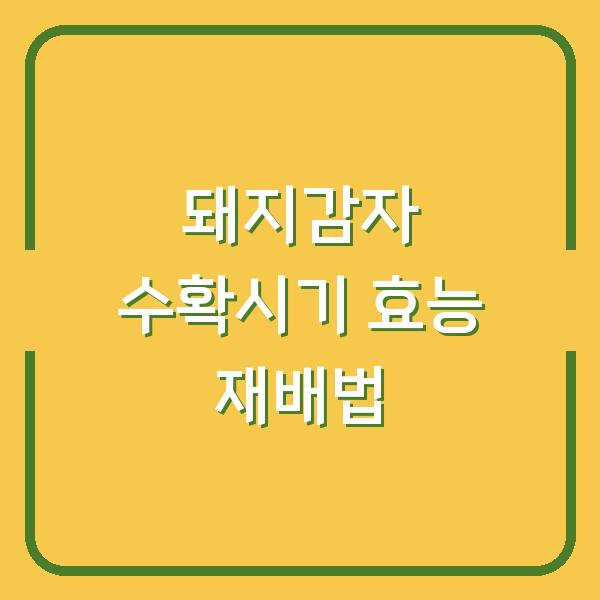 돼지감자 수확시기 놓치면 효능 절반으로 줄어드는 이유와 재배법 활용법
