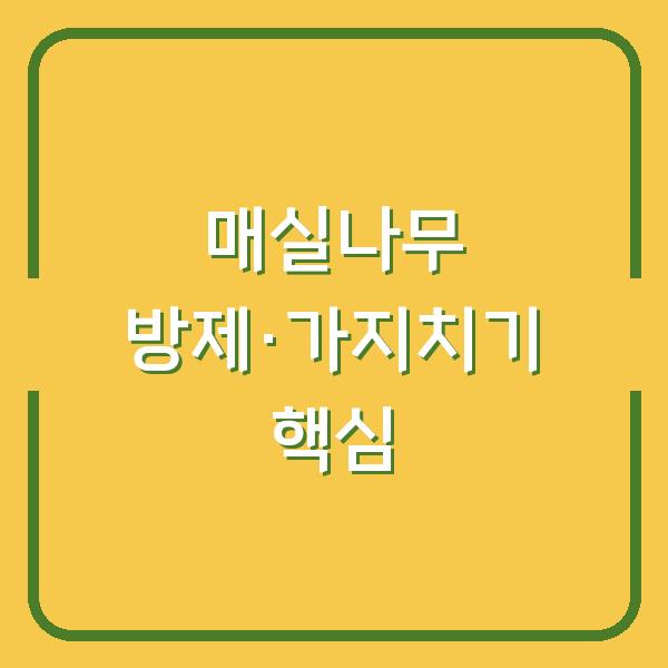 매실나무 약 치는 시기, 놓치면 수확 망치는 병충해 방제 & 가지치기 핵심