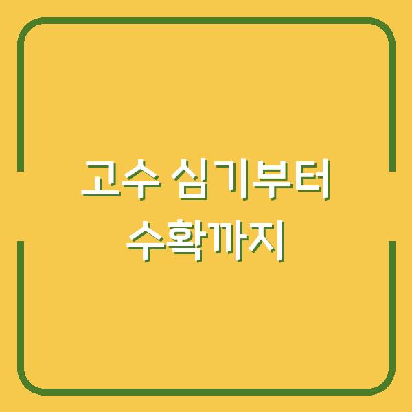 고수 심는 시기와 재배법, 수확까지 한 번에 정리 – 초보도 실패 없는 핵심 포인트