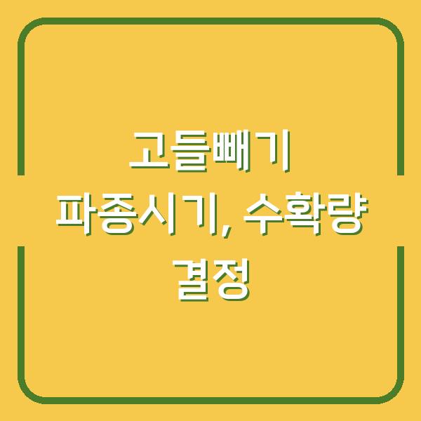 고들빼기 심는시기 놓치면 수확량 반토막? 지금 파종해야 하는 이유