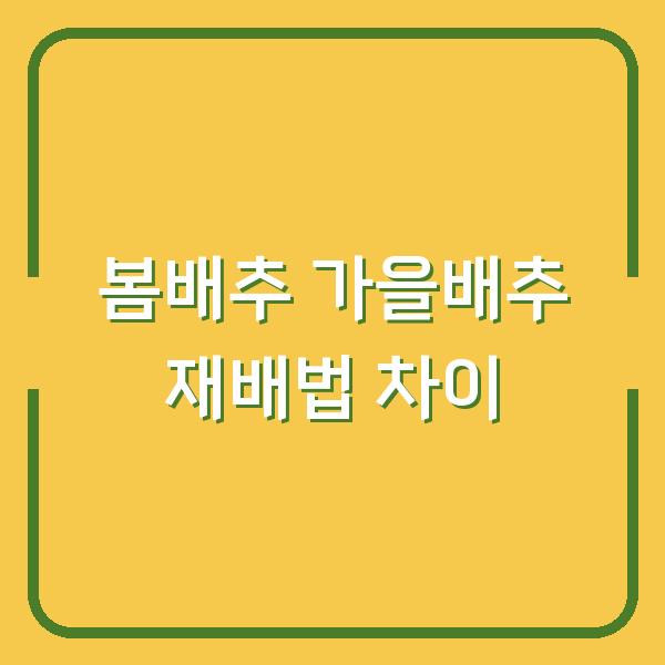배추 심는 시기, 봄배추 vs 가을배추 재배법 차이와 물주기·거름주기 핵심 포인트