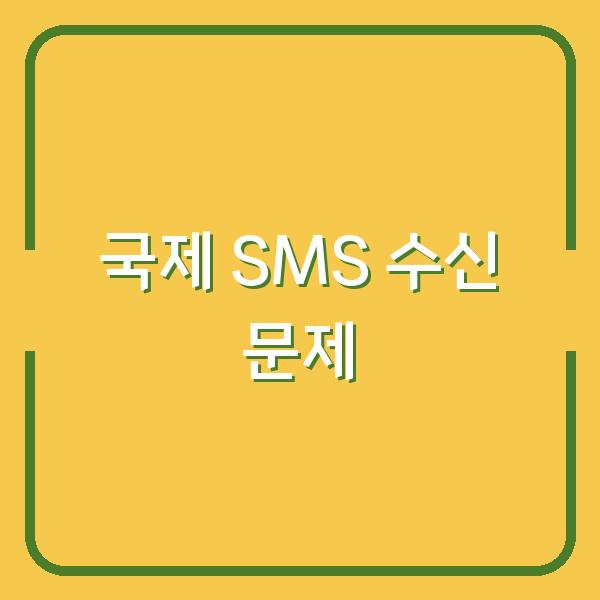 해외 로밍 중 국제 SMS 수신 불가 문제, 문자 차단 설정부터 확인 방법까지 핵심 체크포인트