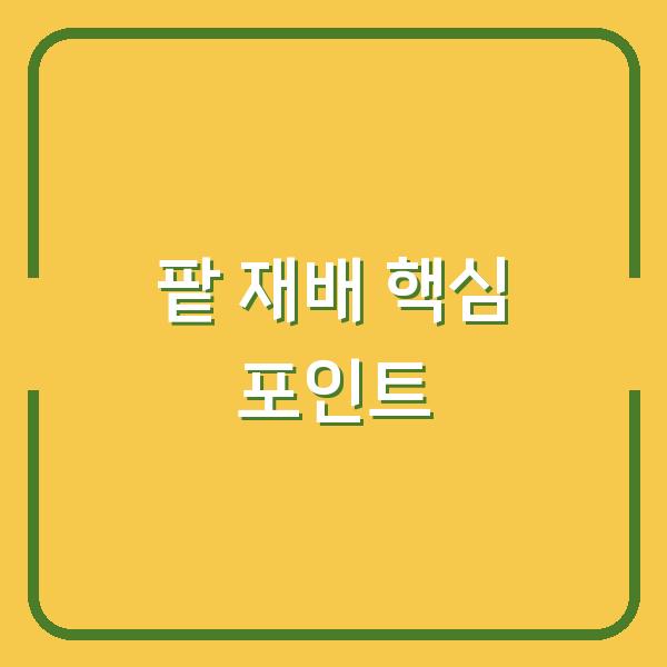 팥 심는 시기와 재배 방법, 수확 시기까지 – 농사 초보도 실패 없는 핵심 포인트
