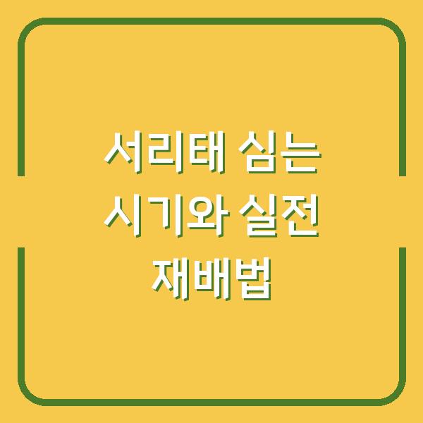 서리태 심는 시기 놓치면 수확량 반토막? 30년 농부가 알려주는 실전 재배법