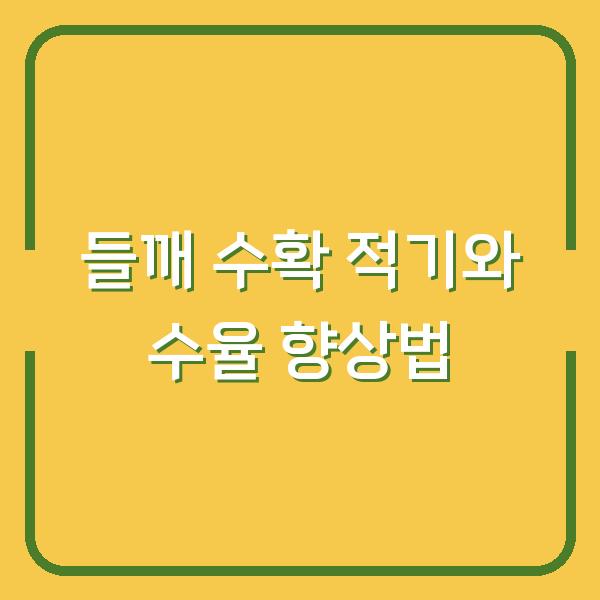 들깨 수확, 이때 베면 수율 2배 오릅니다 – 말리기와 털기 꿀팁