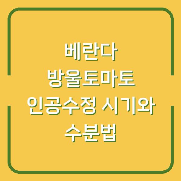 베란다 방울토마토, 꽃만 지고 열매 안 맺힌다면? 인공수정 시기와 수분 방법