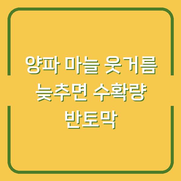 양파 마늘 웃거름 주기 늦추면 수확량 반토막? 비닐 벗기기 적기와 방법 공개