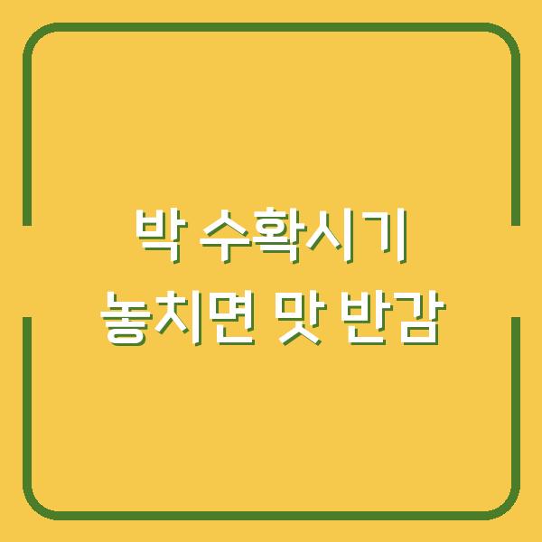 박 수확시기 놓치면 맛 반감… 지금 당장 확인해야 할 재배 및 보관 팁