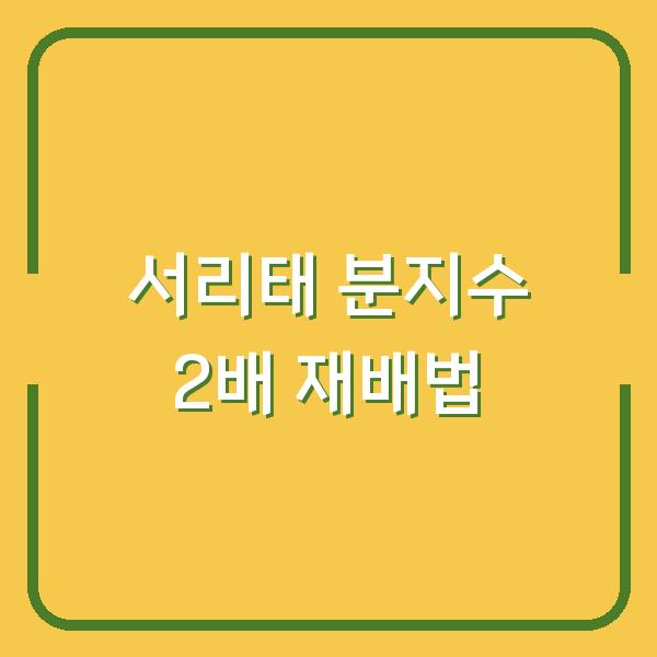 서리태 측지 유도로 분지수 2배 늘린 초보자 재배법