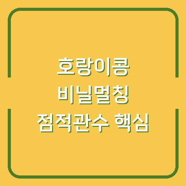 호랑이콩 비닐멀칭 재배 점적호스 관수 시스템 설치 전 꼭 확인할 3가지