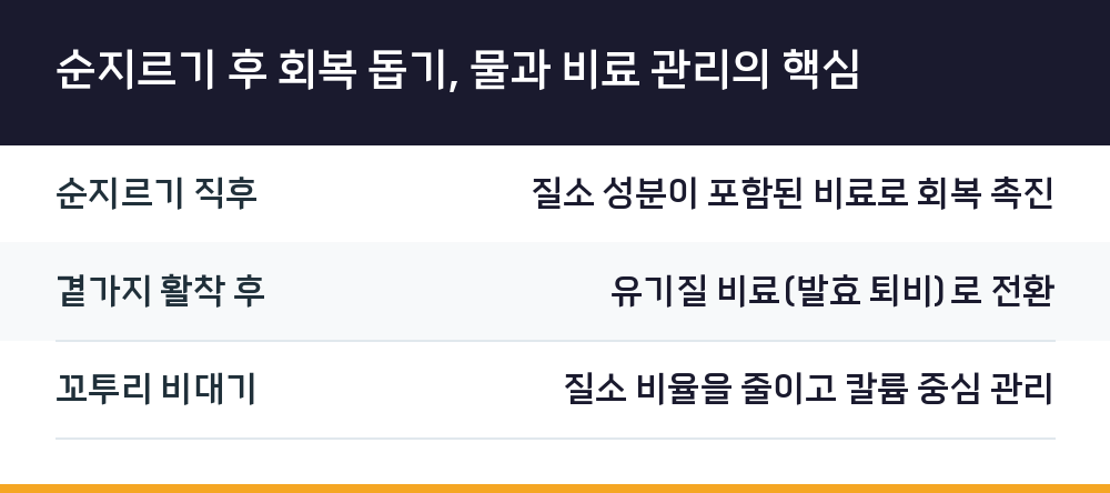 순지르기 후 회복 돕기, 물과 비료 관리의 핵심