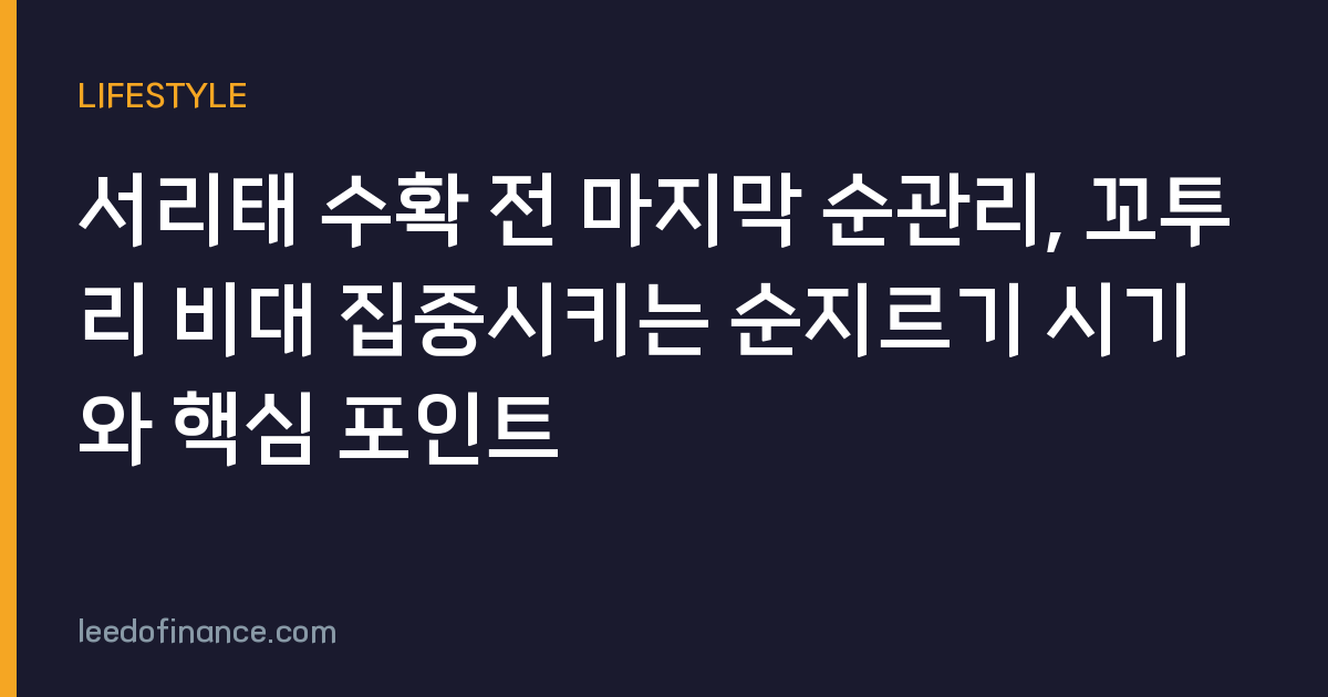 서리태 수확 전 마지막 순관리, 꼬투리 비대 집중시키는 순지르기 시기와 핵심 포인트