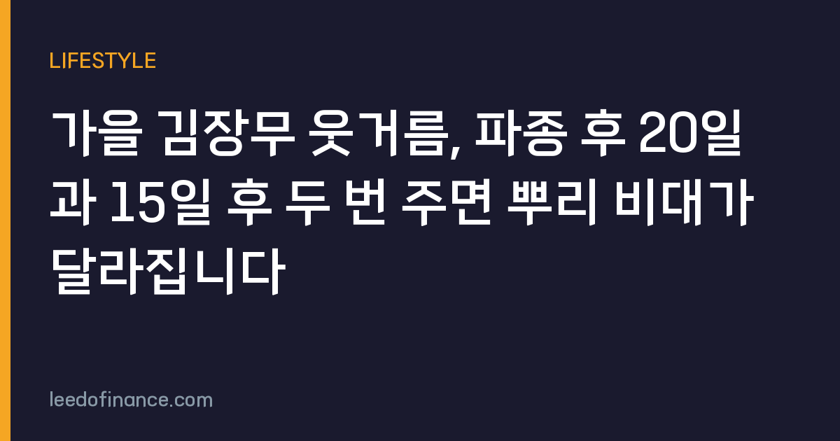 가을 김장무 웃거름, 파종 후 20일과 15일 후 두 번 주면 뿌리 비대가 달라집니다