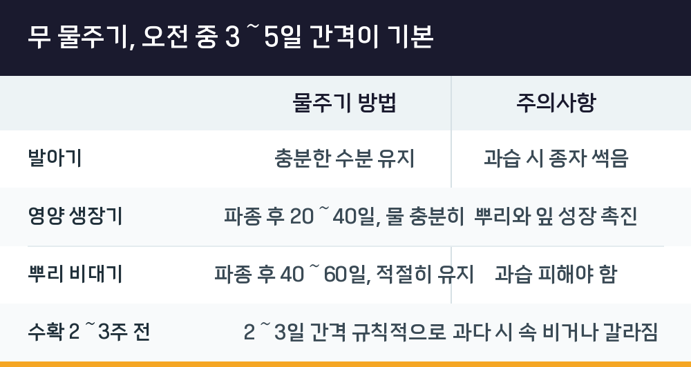 무 물주기, 오전 중 3～5일 간격이 기본