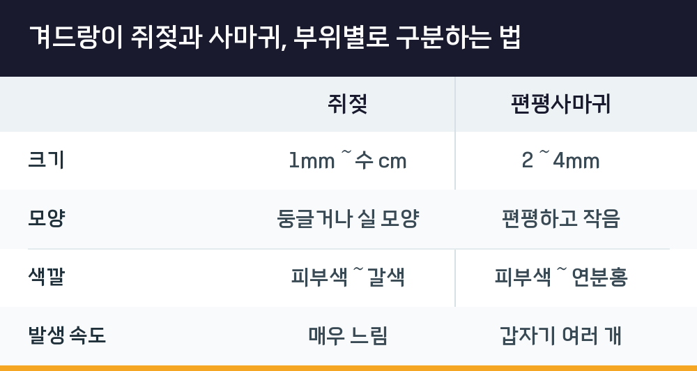 겨드랑이 쥐젖과 사마귀, 부위별로 구분하는 법
