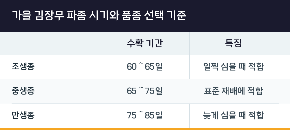가을 김장무 파종 시기와 품종 선택 기준